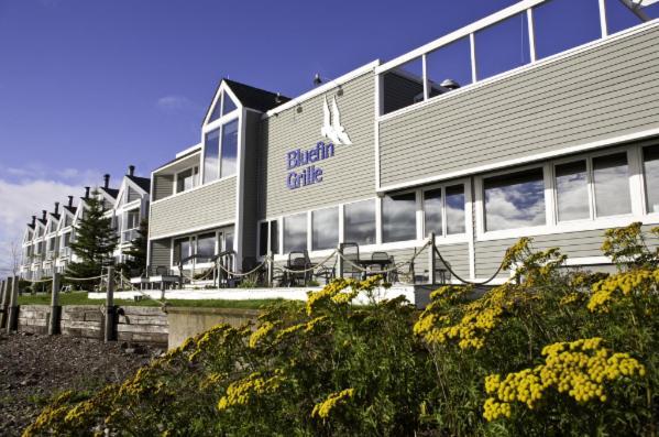 Bluefin Bay On Lake Superior Tofte Екстериор снимка